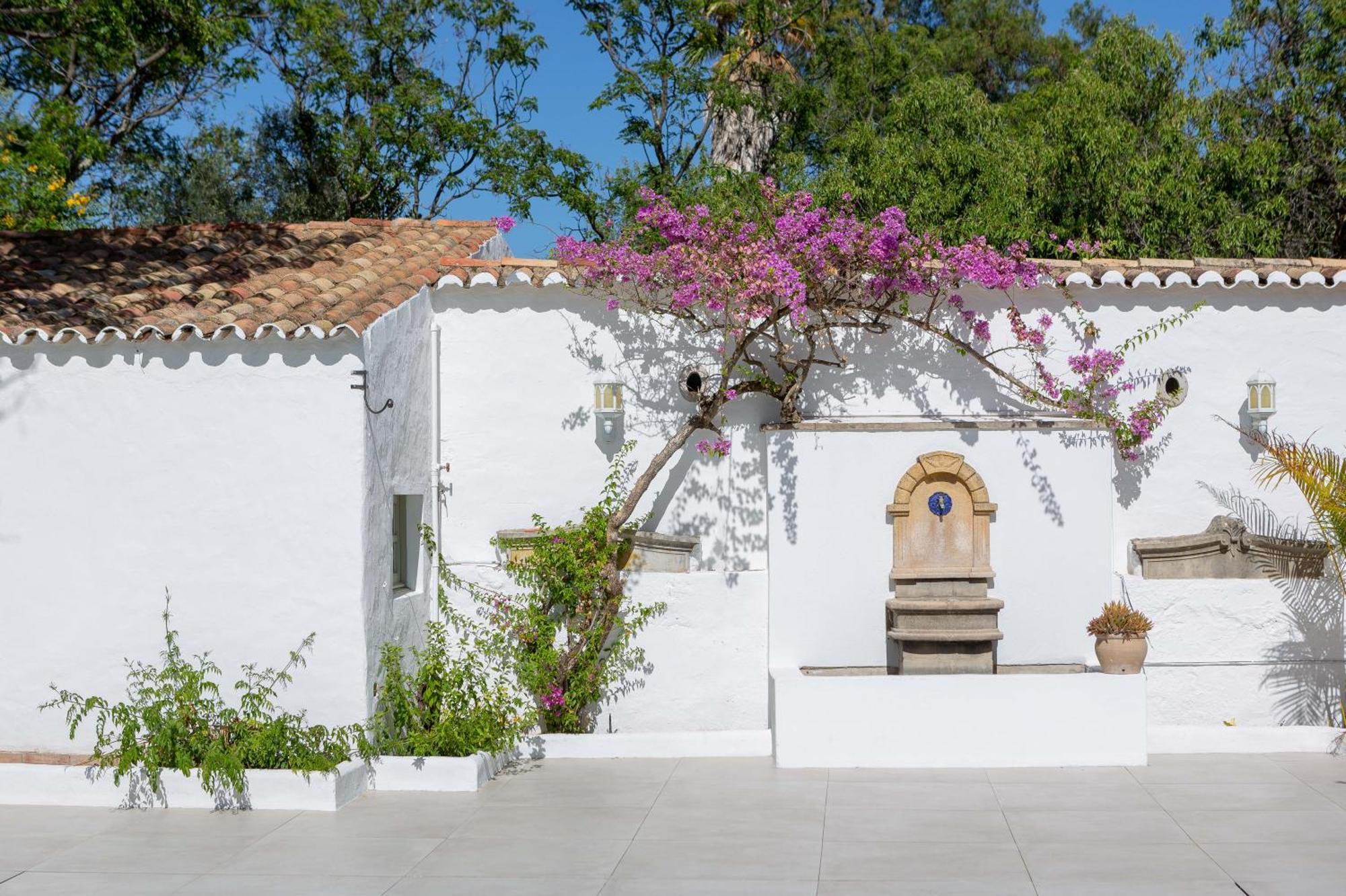 Amago Guesthouse Santa Bárbara de Nexe Exteriér fotografie