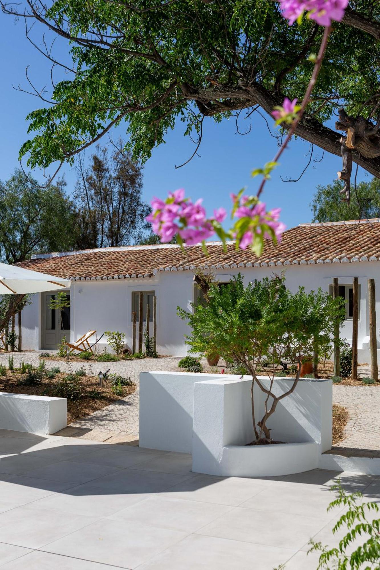 Amago Guesthouse Santa Bárbara de Nexe Exteriér fotografie